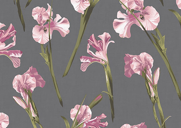 Ted Baker Wild Iris, Pink Charcoal - Roller Blind - Image 6